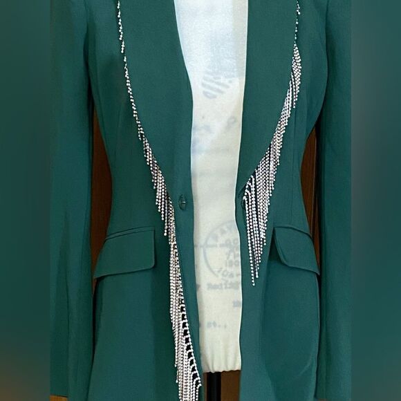 CINQ À SEPT Cheyenne Fringe Embellished Blazer size 2 - Picture 12 of 12